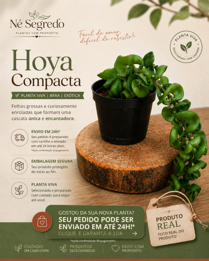MUDA DE HOYA COMPACTA